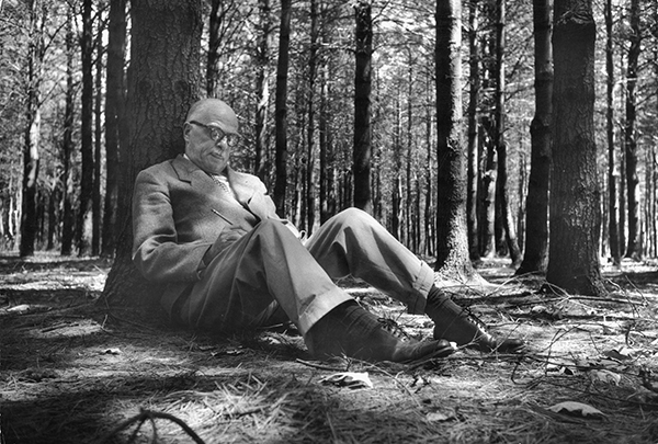 T.怀尔德在树林中写作